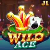 Wild Ace slot at Fair Play Casino
